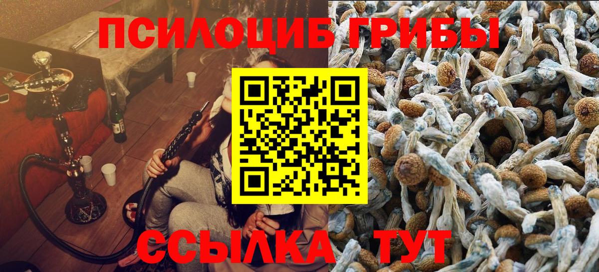 Кстово  Галлюциногенные грибы мухоморы  Псилоцибиновые грибы Psilocybe  Вход с VPN 