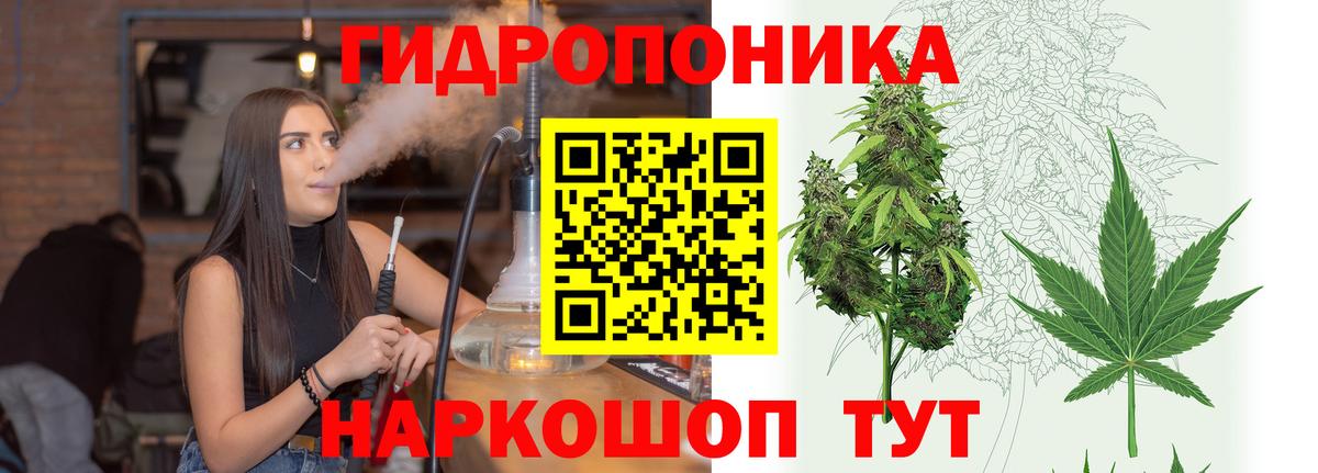 Шишки марихуана сатива Кстово